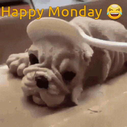 Dog with Spoon Saying Happy Monday