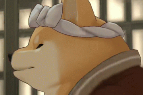 Dog With Towel On Head Looking Sideways GIF