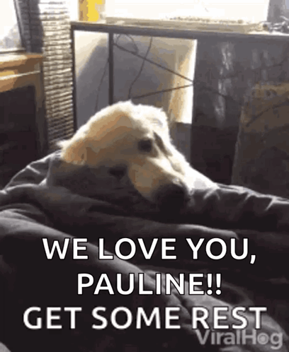 Dog Wrapped in Blanket Saying We Love You Pauline