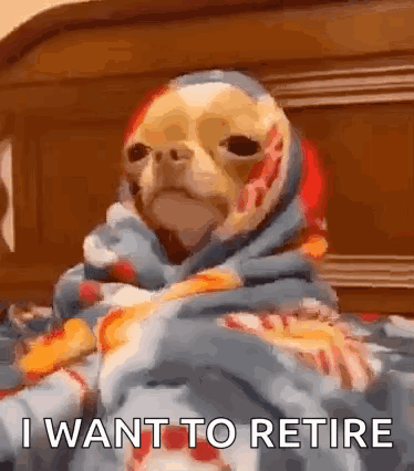 Dog Wrapped In Blanket Says I Want To Retire GIF