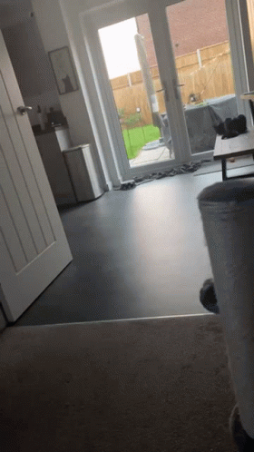 Dog Zoomies Running Back And Forth GIF