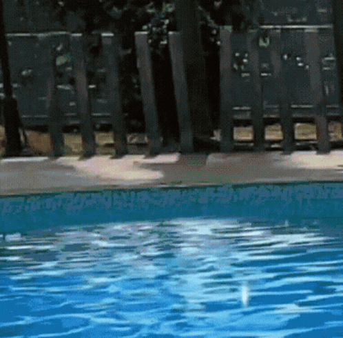 Doge All My Friends Are Toxic GIF