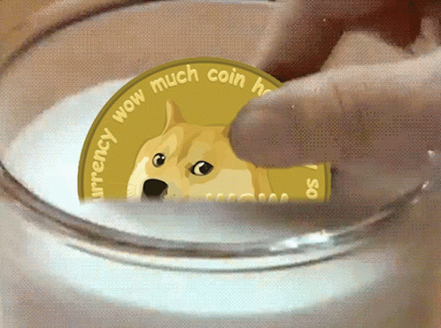Doge Coin Crypto Currency GIF
