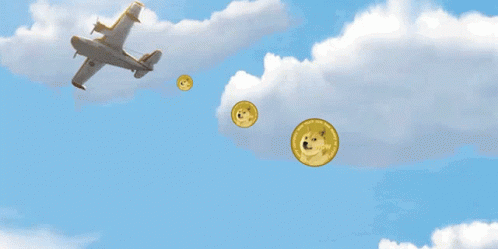 Doge Coin Drop From Sky GIF