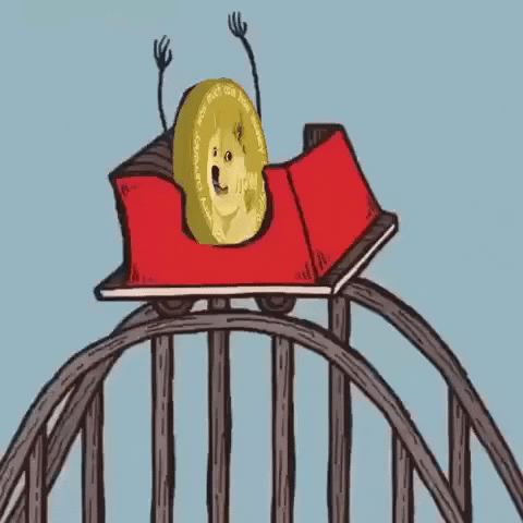 Doge Coin Riding Roller Coaster GIF