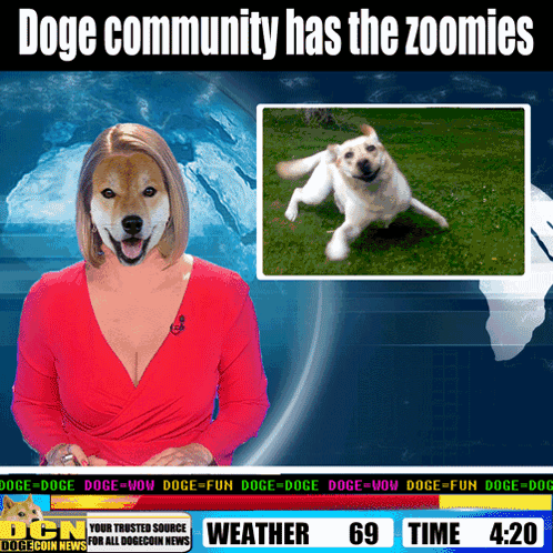 Doge Community Zoomies