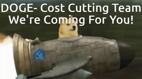 Doge Cost Cutting Team We 'Re Coming For You ! GIF