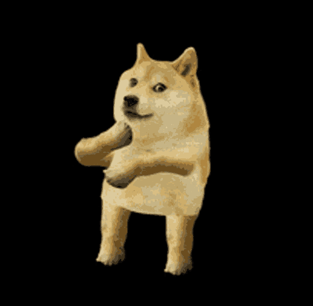 Doge Dancing Doge Gif GIF