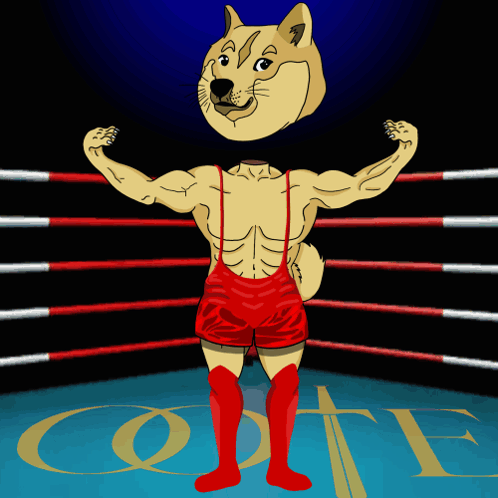 Doge In Boxing Ring Saying Cote GIF