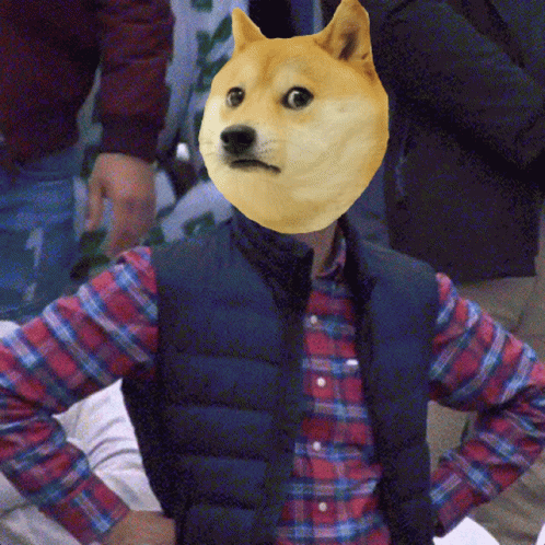 Doge Meme Disappointment Shiba Inu GIF