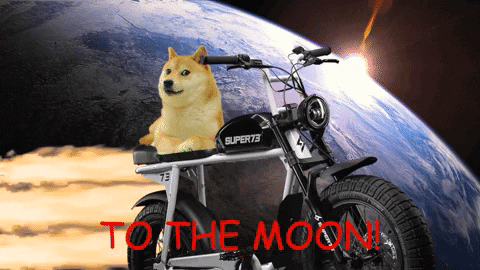 Doge Meme To The Moon GIF