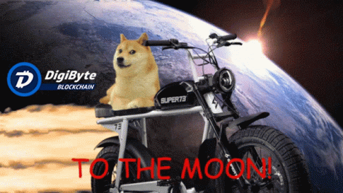Doge Riding Motor Bike GIF