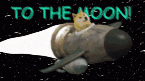 Doge Riding Rocket To The Moon GIF