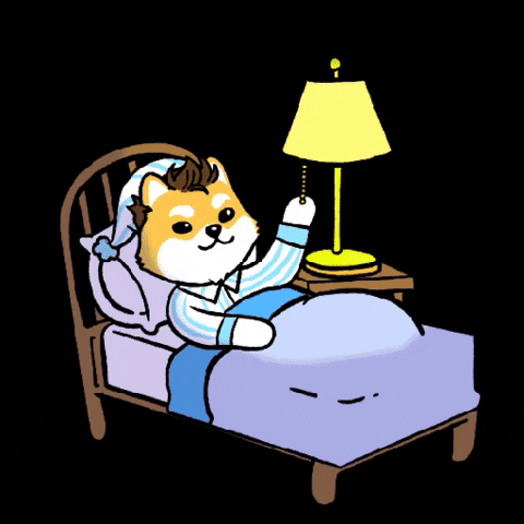 Doge Turning Off Lamp Night Night GIF