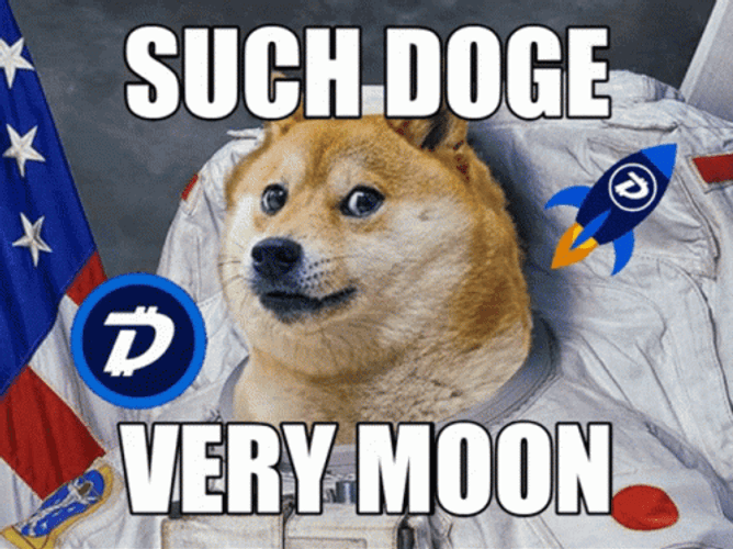 doge space