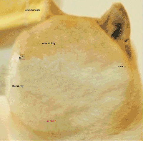 Doge Zooming In Meme GIF