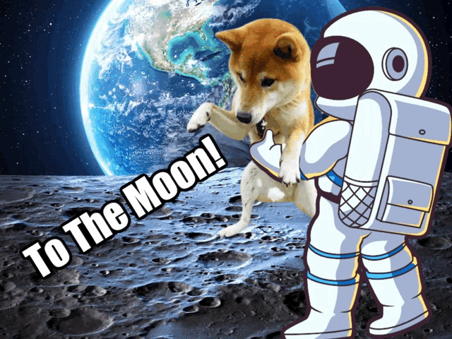 Dogecoin Meme Gif GIF