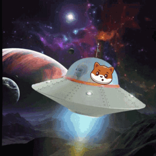 Dogenn Bulldoge Gif GIF