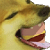 Doggo Having Unlimited Whataburger GIF