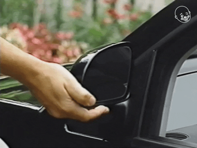 Doggo In Side Mirror GIF