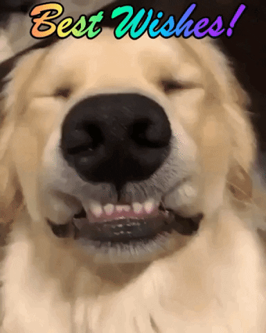 Doggy We Will Miss You GIF