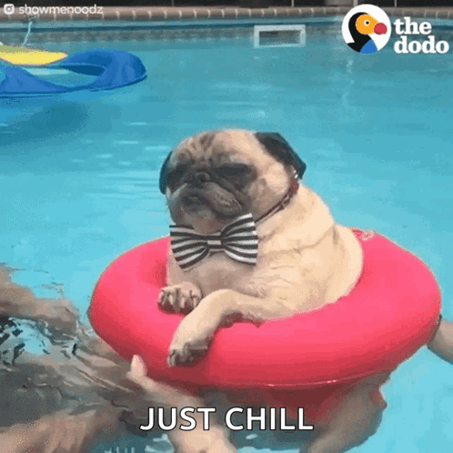 Dogpool Just Chill GIF