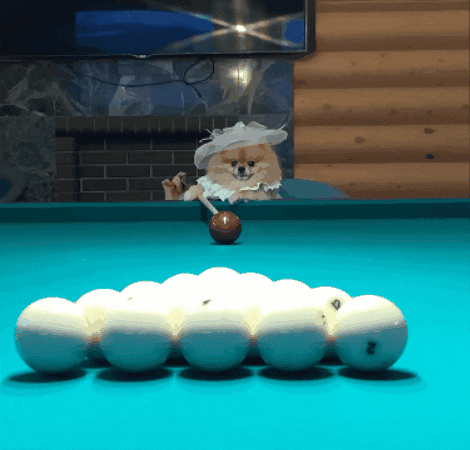 Dogpool Striking Billiard Ball GIF