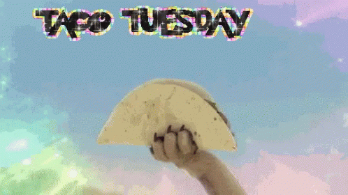 Dogs Eating Taco Cute Tuesday GIF