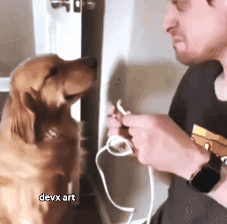 Dogs Hugging Human Funny GIF