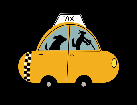Dogs Inside Moving Taxi GIF