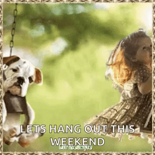 Dogs On A Swing Saying Let's Hang Out This Weekend GIF