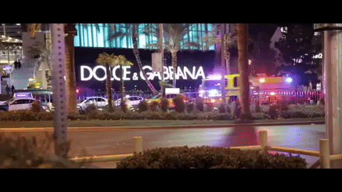 Dolce Gabbana Las Vegas GIF