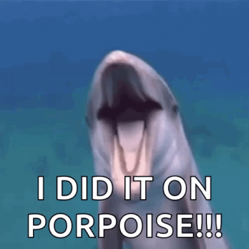 Dolphin I Did It On Porpoise GIF
