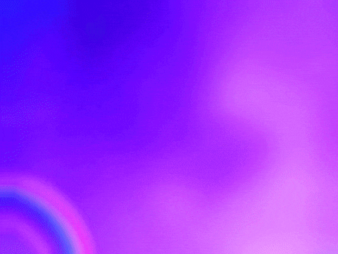 Dolphin Animation Happy Pride Month GIF