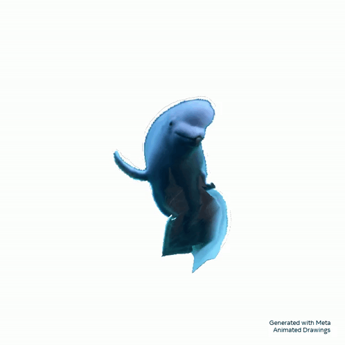 Dolphin