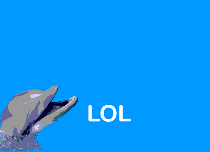 Dolphin Rainbow Lol GIF