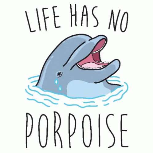 Dolphin Saying Life Has No Porpoise