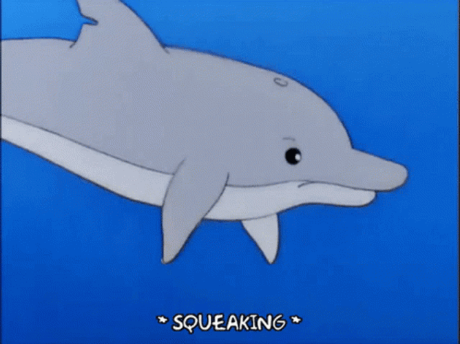 Dolphin Squeaking And Swimming Together GIF