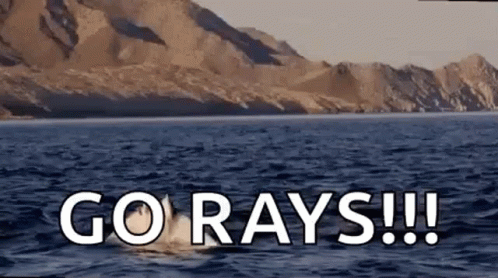 Dolphin Swimming with Go Rays