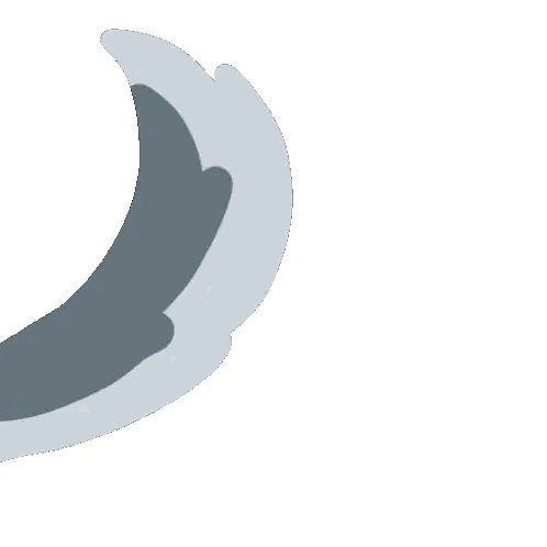 Dolphin Tail Drawing