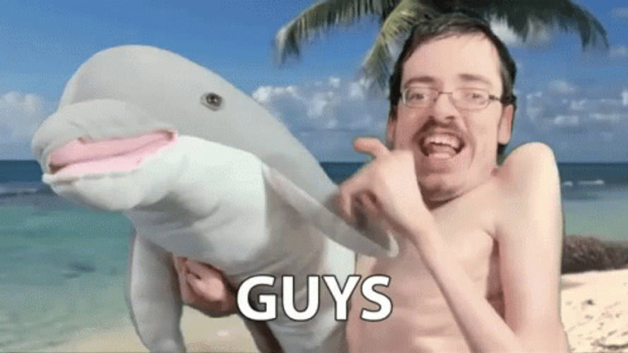Dolphin Toy Guys GIF