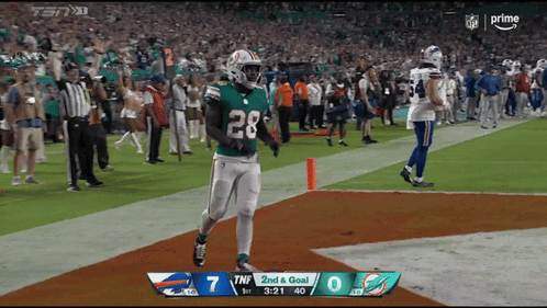 Dolphins and Bills Football Game