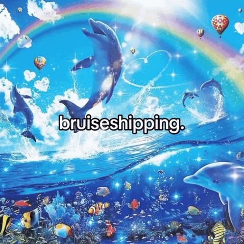 Dolphins And Fish Bruiseshipping GIF