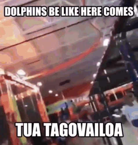 Dolphins Be Like Here Comes Tua Tagovailoa Meme