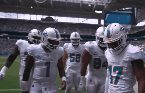 Dolphins Football Players On Field GIF