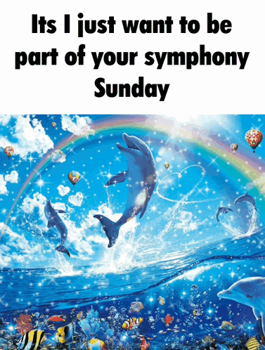 Dolphins It's I Just Want To Be Part Of Your Symphony GIF
