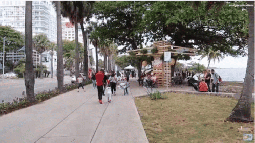 Dominican Republic Malecon Streets GIF