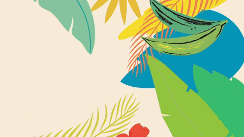 Dominican Republic Tourism Ad GIF