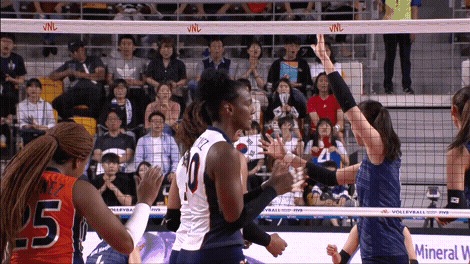 Dominican Volleyball Player Brayelin Martinez GIF