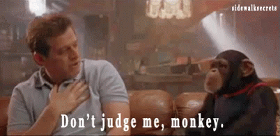 Don't Judge Me Monkey Grandmas Boy GIF